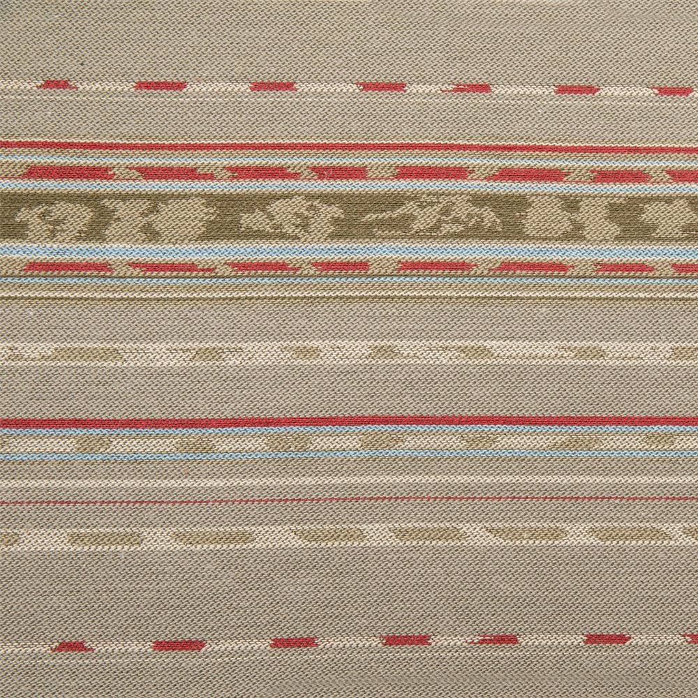 Navajo Arena image 0
