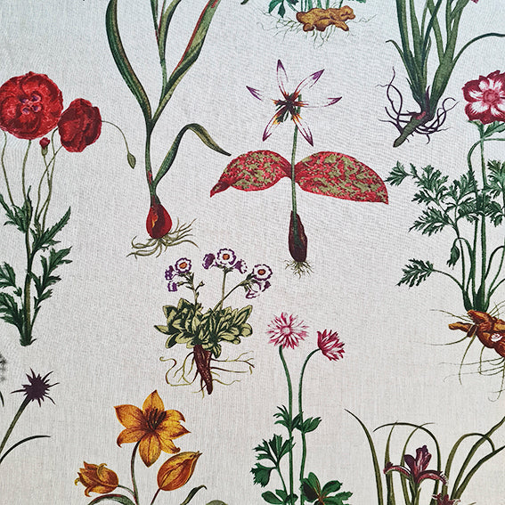 Estampado Botánico Lino image 0