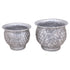 PLANTER UVAS M image 0