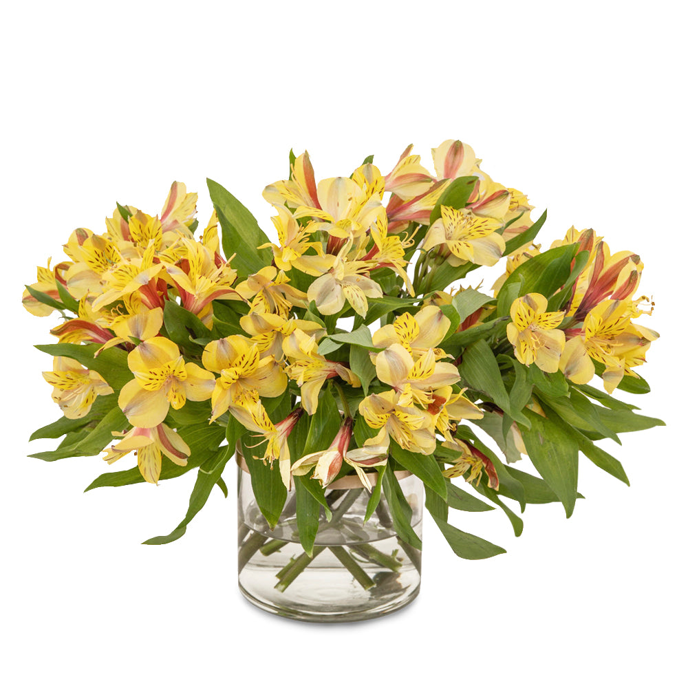 POSA FLORES PETIT image 0