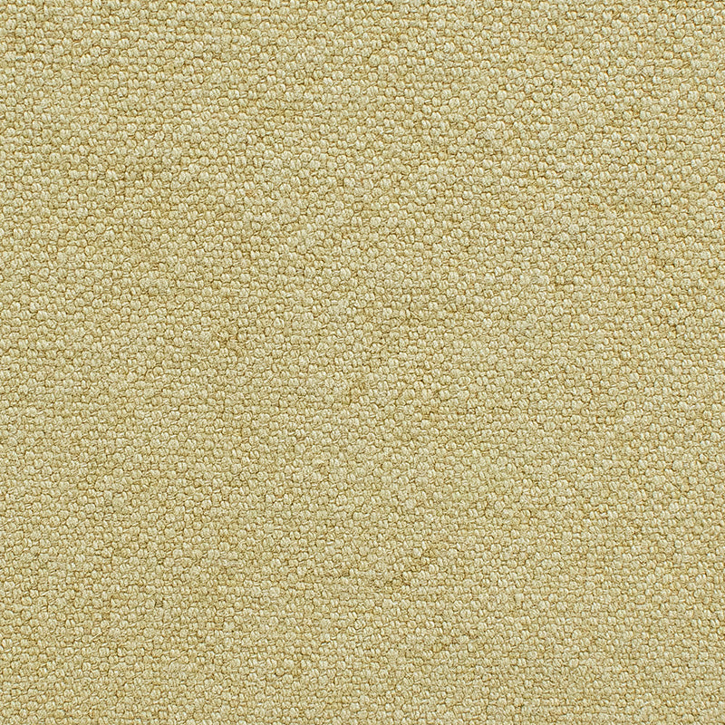 David 20 image 0