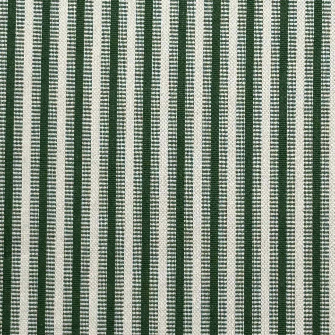 Carola Verde