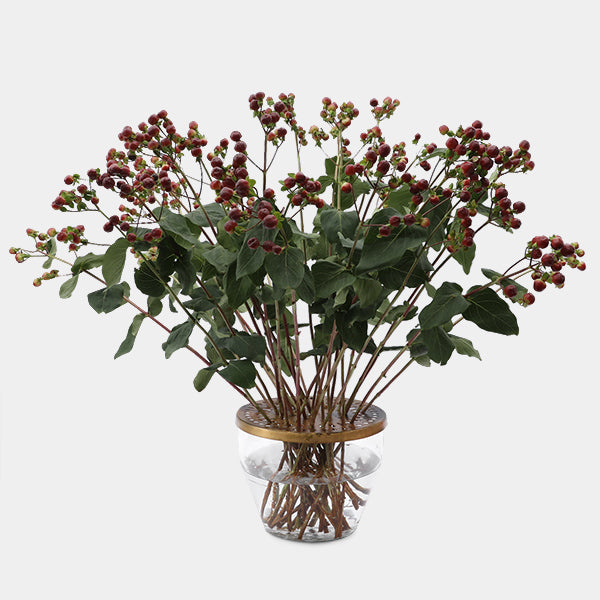 POSA FLORES GRANDE image 2