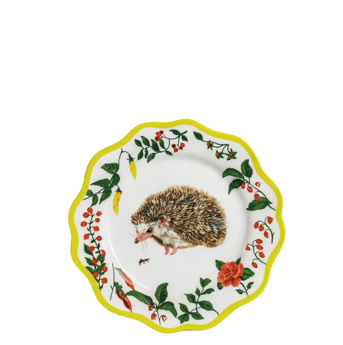 PLATO PAN ESPIN image 0